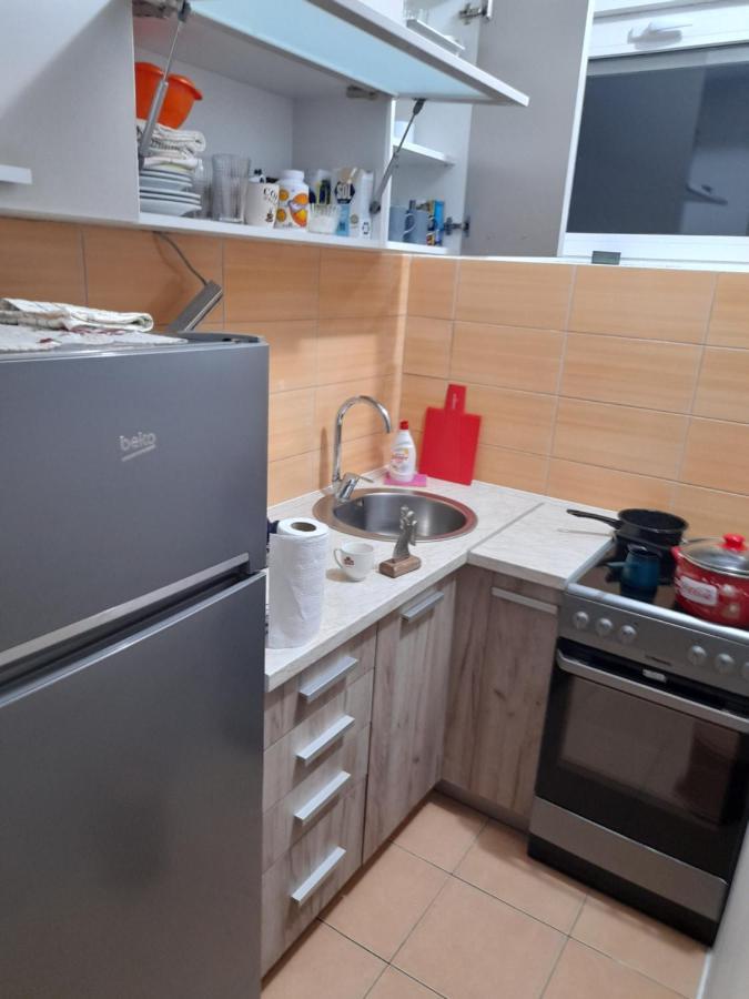 Apartment Luka